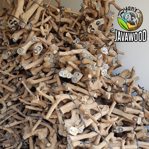 Superventas de alta calidad, patrón sólido, percha de madera para pájaros, poste, soporte Natural, juguete para pájaros para loros - Product Image 4