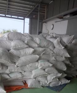 Alga Marina Seca de Alta Nutrición de Vietnam, Empacada en Bolsas - WhatsApp +84 987 670462 - Product Image 3