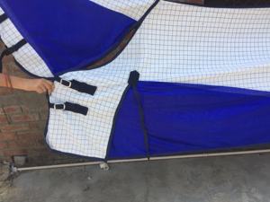 ออสเตรเลียม้าบินแผ่น/ออสเตรเลียม้าฤดูร้อนแผ่น/ออสเตรเลียม้าพรม - Product Image 3