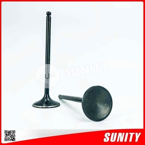Tuang — vannes d'admission et d'échappement de moteur en métal AN125, Taiwan sunity, pour moteur SUZUKI - Product Image 2