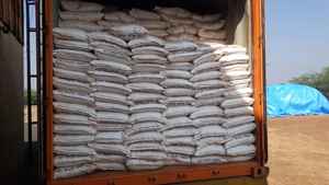 Poudre de bentonite de sodium haute performance pour le forage et les applications industrielles exportation de litière pour chat - Product Image 2