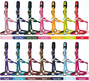 Collier de tête d'équitation doux rembourré en nylon, licou, en molleton, ajustable, de haute qualité, 2 m, am607 - Product Image 2