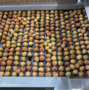 High Quality Organic <b>Frozen</b> Lychee <b>Fruit</b> From Vietnam IQF Process Whole and Sliced Pattern Sweet Taste Bulk Packed - Product Image 5