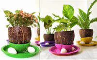 Pot Tanaman Gantung dari Tempurung Kelapa Berkualitas Tinggi, Pot Bunga dari Tempurung Kelapa dengan Tali Gantung dan Dekorasi, Desain Kustom untuk Taman