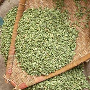 Peignoir vert de qualité supérieure, carillons noir et blanc, 2022 100% - Product Image 6