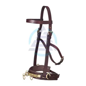 Leather Lunging Caveson Horse Riding Accessories Lunging Cavesson