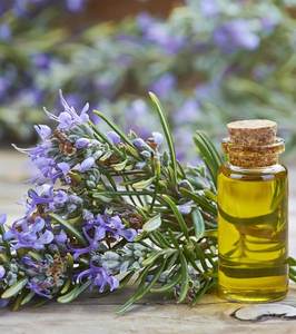 High Quality <b>Rosemary</b> Essential <b>Oil</b> From Egypt Hair Growth Hair Essential <b>Oil</b> at Bulk Wholesale Price - Product Image 1