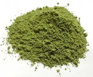 Indigo Leaf Powder - Indigoferatinctoria 파우더는 머리카락의 조기 탐색을 촉진합니다.