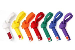 Ceinture multicolore pour karaté Taekwondo, ceinture artistique, qualité supérieure, offre spéciale, 160 - Product Image 4