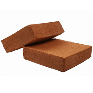 Coco Than Bùn/Canada Than Bùn Rêu - Product Image 1