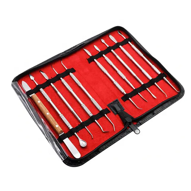 Set Of 10 Pcs Professional Surgical Dental Lab Carving Equipment Tool Kit