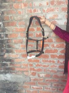 <b>Rope</b> Cord Show Jumping Noseband Horse Leather <b>Halter</b> Smart - Product Image 4