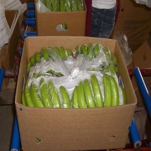 Banane verte fraîche, 1 pièce - Product Image 1