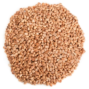 Chironji Carrier Oil Cold Pressed India Origin Buchanania Latifolia Seeds GMP Certified CAS No. 58-36-6 - Product Image 5
