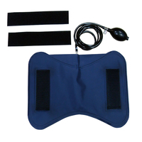 Akee Driver Kit de soutien lombaire pneumatique universel confortable pour siège de voiture, 100% testé, pièce de rechange ODM/OEM 155g TW