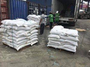 Sargassum-Polvo de algas marinas, fertilizante vietnamita, algas marinas - Product Image 5