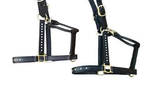 Licol en cuir de cheval de selle anglais équin Primo avec boucles de fer modèle P-LH-9900 - Product Image 2