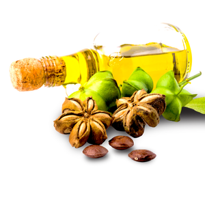 น้ำมันซาชาอินชิ คุณลูซี่ +84 929 397 651 - Product Image 1