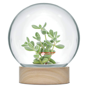 Top vente clair table vase décoration pièce maîtresse clair rond poisson bol fleur affichage verre rond terrarium vase pour plantes - Product Image 4