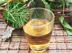 ขายส่งสำหรับ100% ธรรมชาติ Eleusine Gooosegrass ผง - Product Image 5