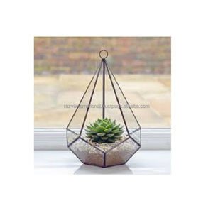 Clear Glass Hanging Terrarium Elegant Crystal Vase for Displaying Your Favourite Plants - Product Image 1