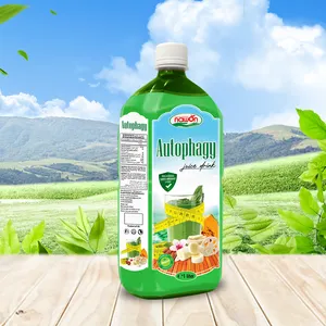 Jus AUTOPHAGY Jus Pisang Akar Lotus Labu Kacang Almond 1L Botol Plastik Minuman Pabrik dari Vietnam