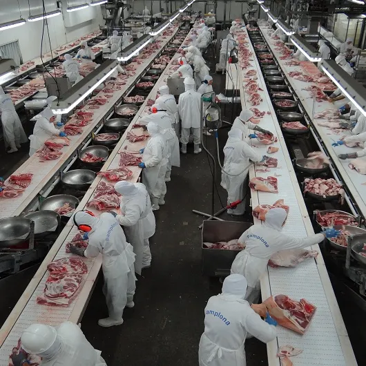 Gefrorenes Rindfleisch Hochwertiges brasilia nisches Großhandel Bio natürliches gefrorenes Rindfleisch