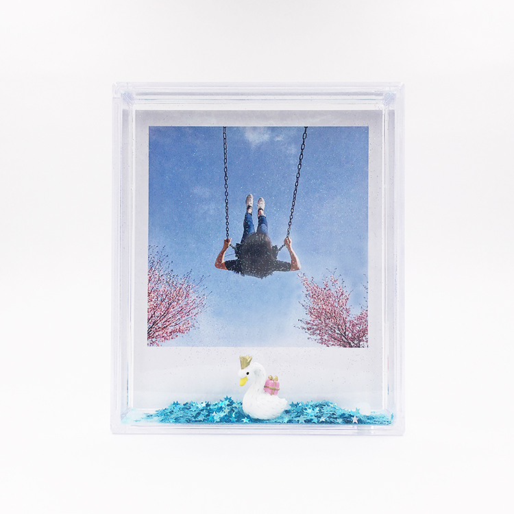 Забавный плавающий Лебедь высокого качества пластиковый Shake-it новейший стиль Polaroid Жидкий блеск рамка