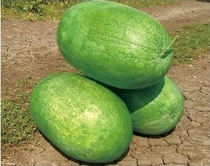 Sandía de Primera Calidad, Sabor Dulce y Delicioso, 3 kg - Fruta Fresca de Sudáfrica, 6 Meses de Duración, Marca Melons, 25-50 cm, Mejor Precio - Product Image 2