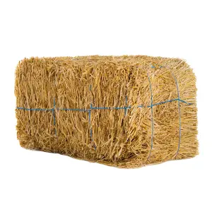 Animal Feed Wheat Straw Mushroom Round Baler Bailing Machine Harvesting Cutter/ Wheat Straw for sale/ Organic hay straw