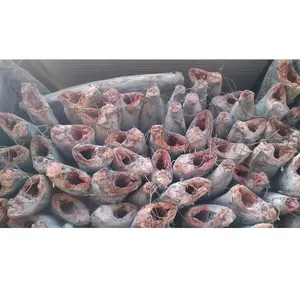 Chun Cheng Fishery Frozen Whole Stripe Marlin DWT Packing In Vacuum Pack With Best Price