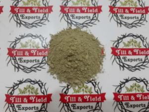 Extrait de Kalmegh, andrografis-paniculata, amère ntt, utilisations potentielles de Kalmegh pour protéger le fœtus - Product Image 2