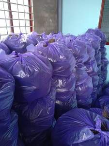 VIETNAM FRESH YAM MORADO NATURAL ALTA CALIDAD PRECIO COMPETITIVO - Product Image 3