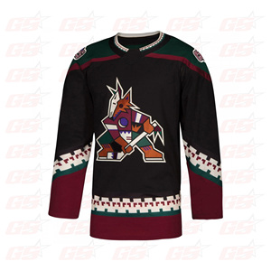 Camiseta de Hockey sobre hielo de alta calidad, uniforme de Jersey sublimado - Product Image 1
