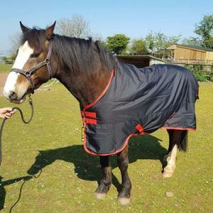 Tapis de cheval de participation léger de l'hiver 600D résistant à l'eau équestre 100g - Product Image 3