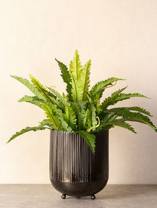 Pot de fleur de jardinière de jardin fait à la main de qualité supérieure meilleure vente avec un design incroyable et une finition attrayante chaude d'Inde - Product Image 5