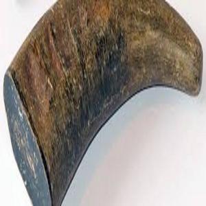 Authentique corne de buffle, pointes solides, sculptées à la main, style animal nautique, art et objet de collection en provenance d'Inde par Crafts Galore - Product Image 3