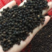 MEILLEUR PRIX Poivre noir cru séché de qualité supérieure 100g 580/570/550/500 GL MC/FAQ Usine du Vietnam 0084905209103