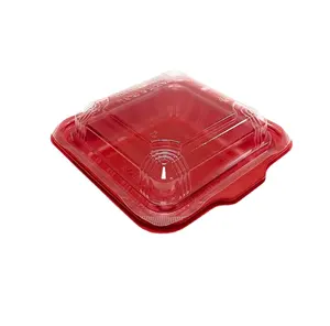 Kotak Makanan Plastik Sekali Pakai Membawa Kotak Wadah Makanan dengan Tutup Bening