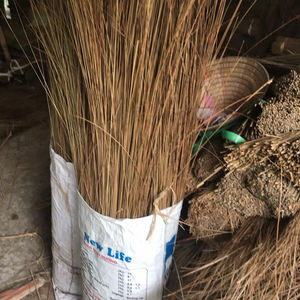 ใหม่!!! ใบมะพร้าวติดจากเวียดนามที่มีมาตรฐานการส่งออกสูงและราคาที่แข่งขันใน2023 [ทางเลือกที่ดีสำหรับคุณ] - Product Image 6