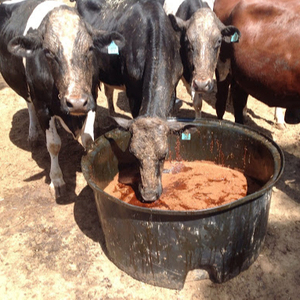 Polvo de melaza Blackstrap seco para caballos, ganado, peces y perros, alimento para animales, Grado Superior 55-78% contenido de azúcar - Product Image 1