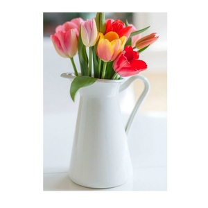 Iqbal Collection Galvanized White Powder Coated Watering Cane Design Eco-Friendly Durable Planter for Home <b>Decoration</b> Plantation - Product Image 1