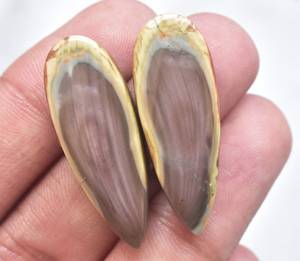 Par de gemas de jaspe Imperial Natural, lote combinado de jaspe Imperial, venta al por mayor, Lo - Product Image 1