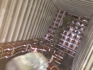 Té Verde Vietnamita de Primera Calidad, Té Assam en Polvo para Adelgazar, en Cajas y Bolsas a Granel para Venta al Por Mayor - Product Image 6