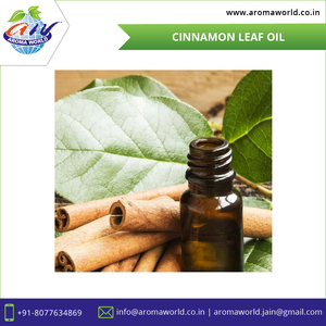 Bulk 100% Organic & Pure Natural Cinnamon Leaf <b>Essential</b> <b>Oil</b> <b>for</b> Skin, Hair, Soap & Candle Making | OEM/Private Label Available - Product Image 3