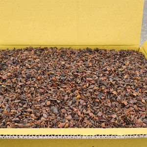 Proceso de secado al aire de anís estrellado seco de la más alta calidad + 84-924 736 232 (Kelvin) - Product Image 1