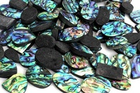 Nouvelle-Zélande, coquille d'ormeau naturelle, pierre précieuse, cabochon