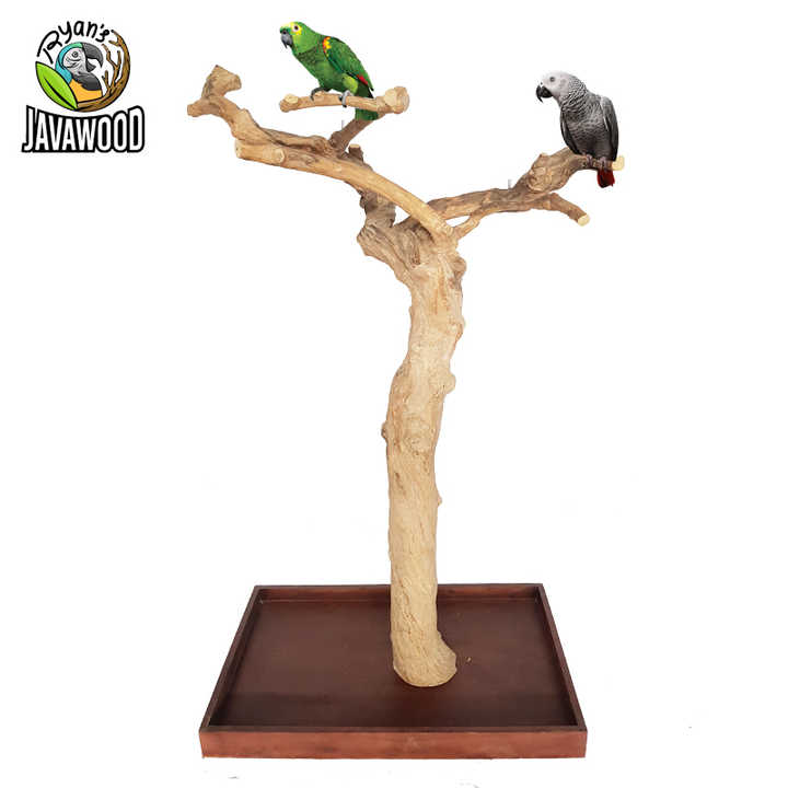 parrot stand wood