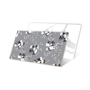 พื้นลามิเนตสไตล์บราซิลผิวด้านกันลื่นกระเบื้องผนังจีนพิมพ์ลายขนาด600x1200มม. ผลิตในอินเดีย - Product Image 3