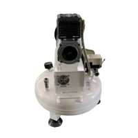 Nouveau Lancement 12V 220V Haute Qualité 2.5HP Sans Huile Portable Mini Air Compresseur 12 litres réservoir Solaire air Compresseur